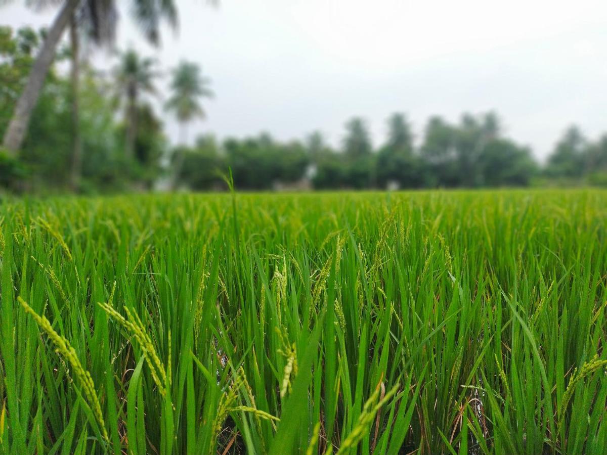 The Farm Crest, Ecr Kadallur Kūvattūr 外观 照片